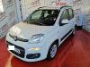 Fiat Panda 1.2 Lounge ocasion