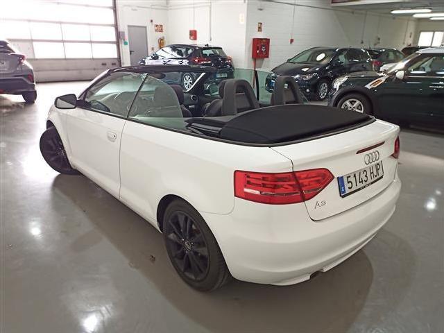 Audi A3 Cabrio 1.6tdi Ambition ocasion - Kobe Motor