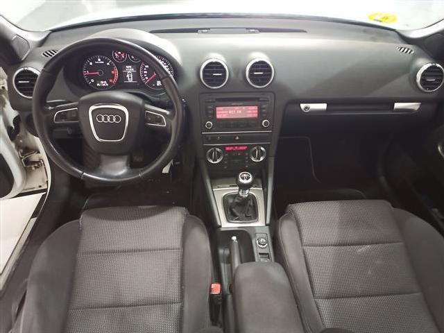 Audi A3 Cabrio 1.6tdi Ambition ocasion - Kobe Motor