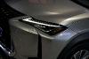 Lexus Ux 300e Business ocasion