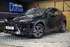 Lexus Ux 300e Business ocasion