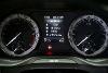 Skoda Kodiaq 2.0 Tdi 110kw 150cv Manual 4x4 Style ocasion